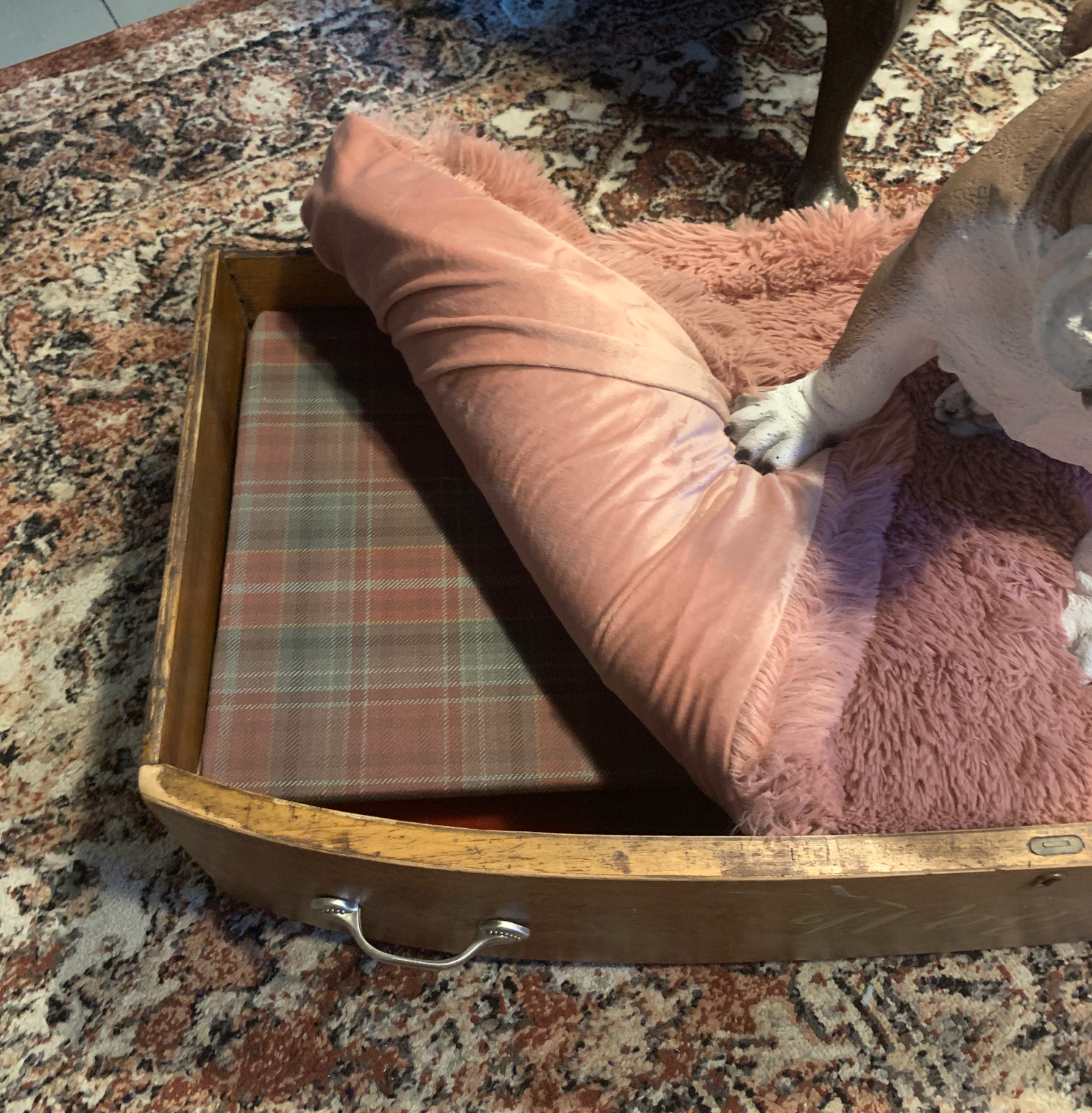 "Woof" Dog Bed