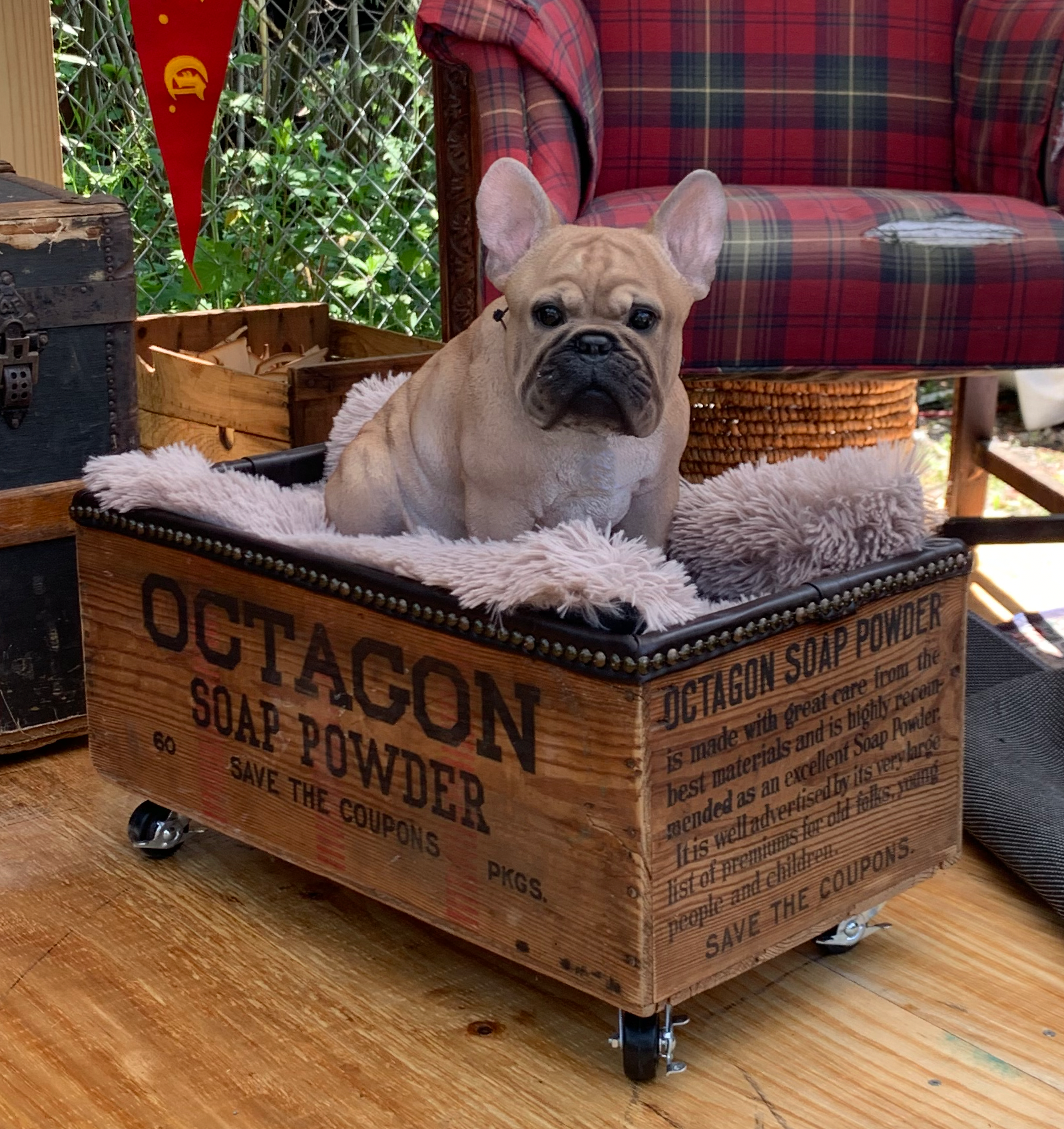 Storage Otoman and Dog Bed
