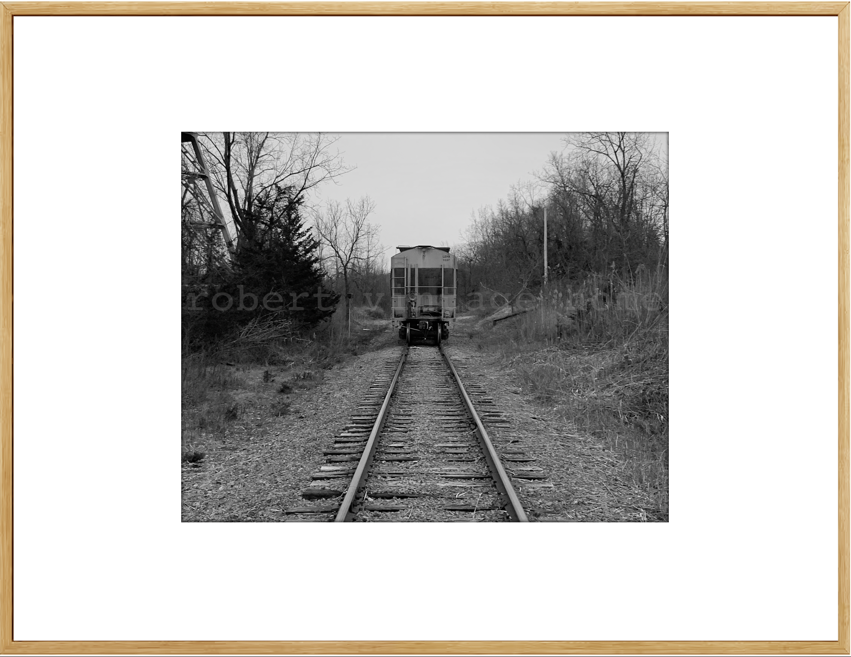 The Train