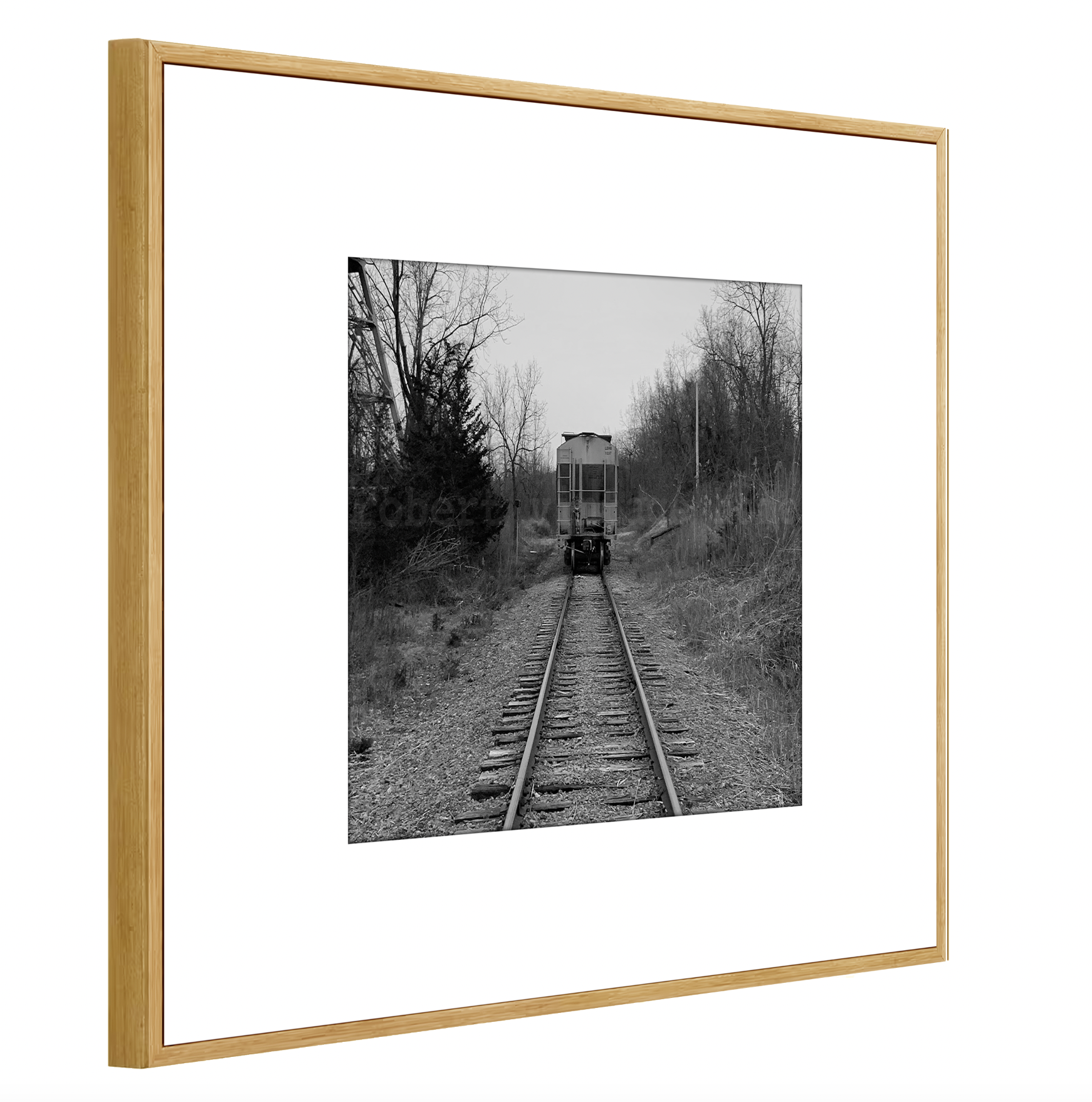 The Train