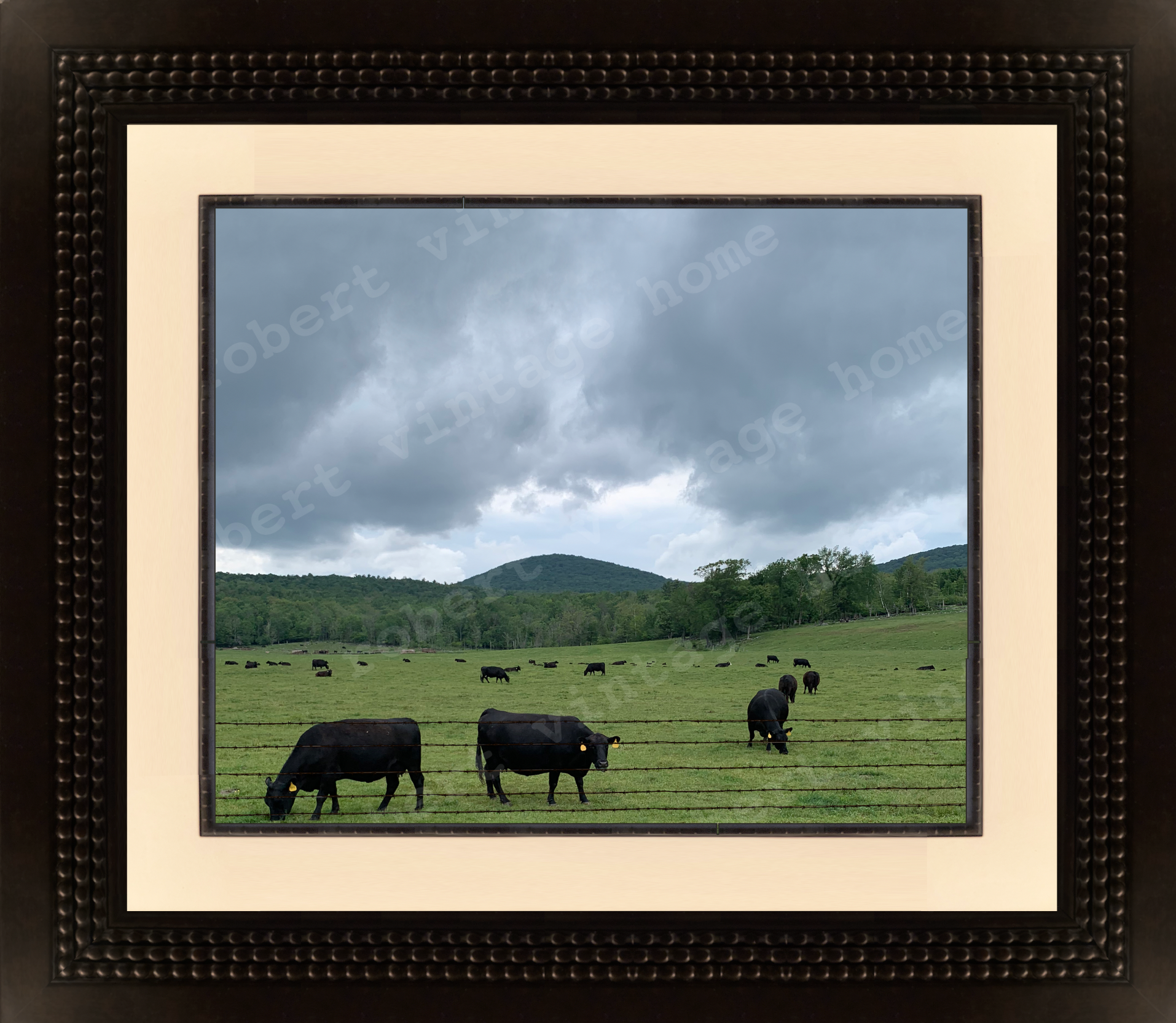The Cows II