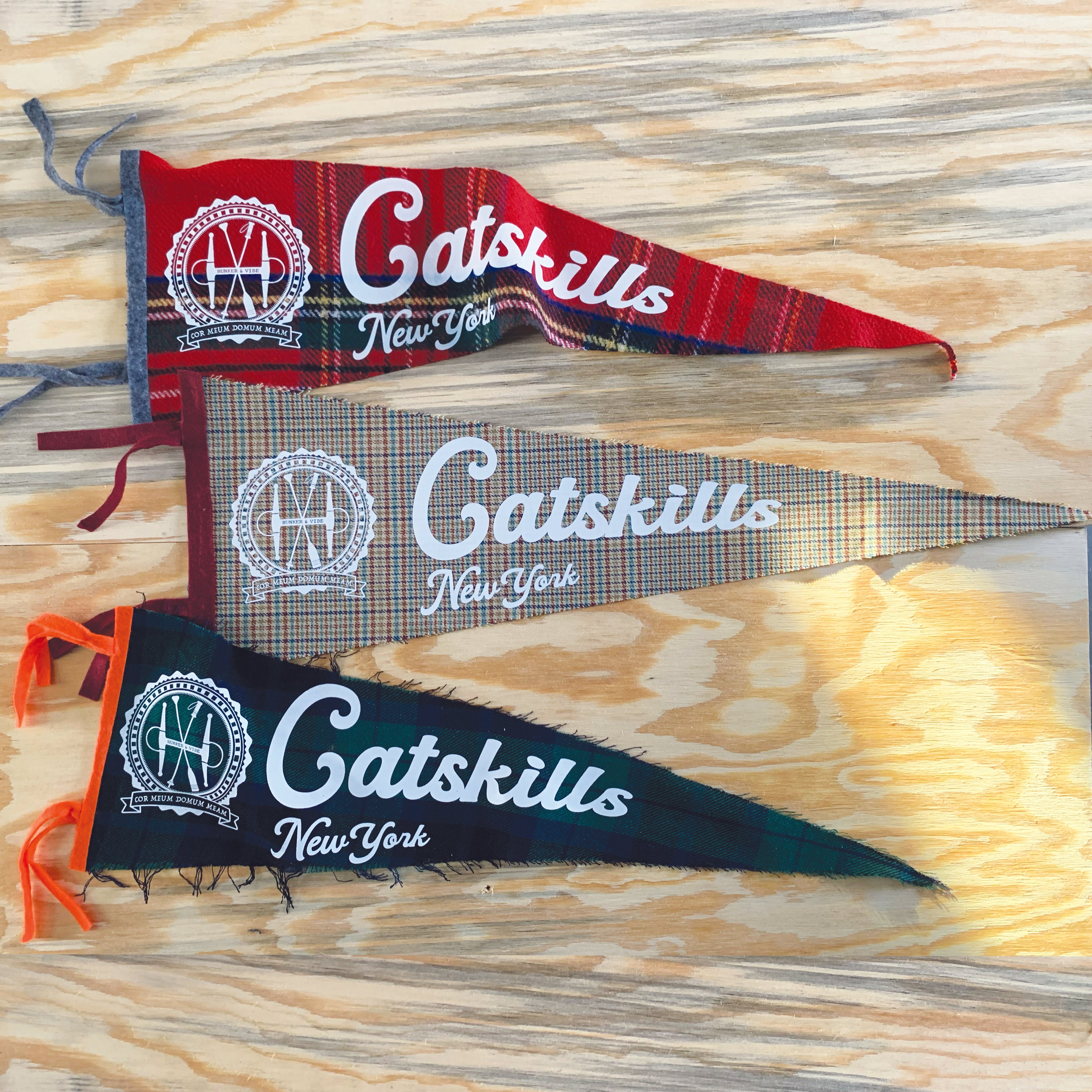 "CATSKILLS NEW YORK" PENNANT FLAG