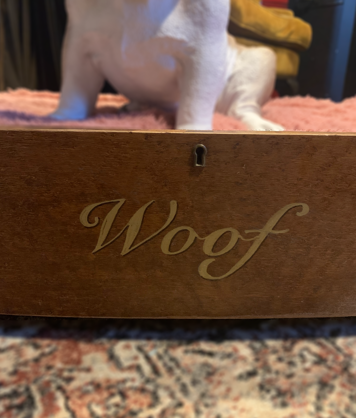 "Woof" Dog Bed